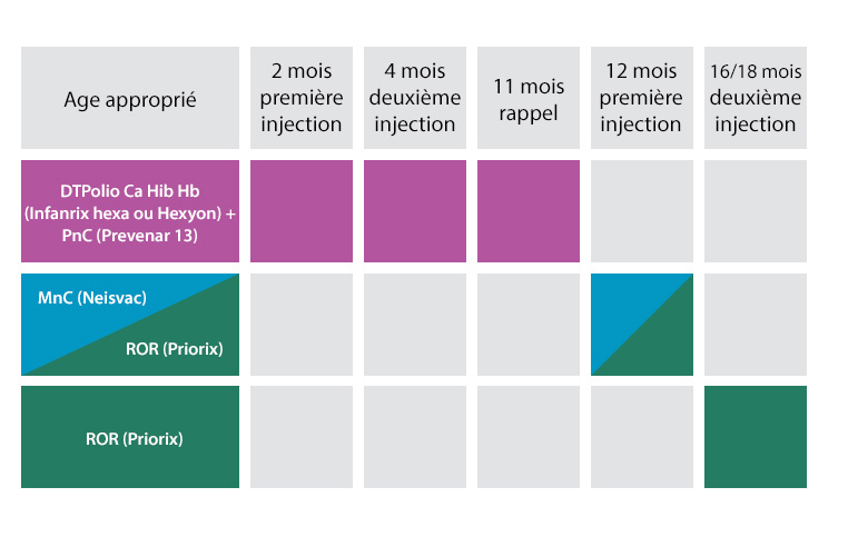 schéma vaccinal nourrisson