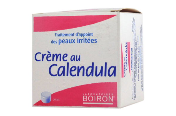 CREME AU CALENDULA pot de 20 g