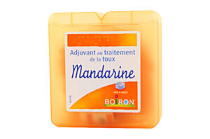 BOIRON MANDARINE Pâtes à sucer 60 g