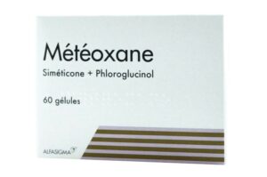 METEOXANE 60 gélules