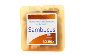 SAMBUCUS Pâtes à sucer 70 g