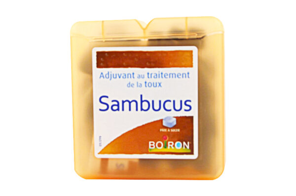 SAMBUCUS Pâtes à sucer 70 g