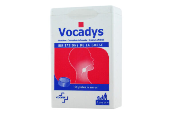 VOCADYS 30 pâtes à sucer