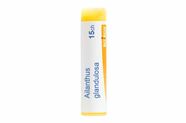 AILANTHUS GLANDULOSA - Doses homéopathiques