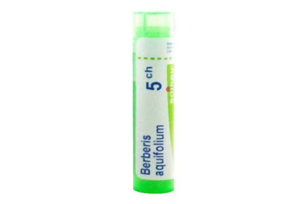 BERBERIS AQUIFOLIUM - Granules homéopathiques