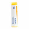 BERBERIS VULGARIS - Doses homéopathiques – Image 2