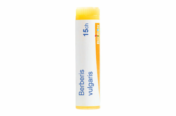 BERBERIS VULGARIS - Doses homéopathiques – Image 2