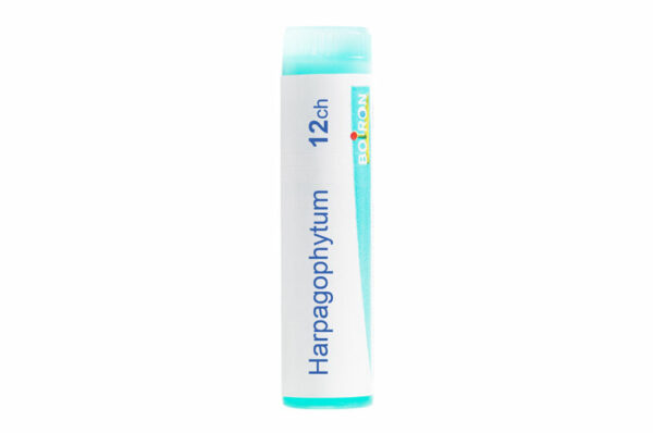 HARPAGOPHYTUM - Doses homéopathiques – Image 2