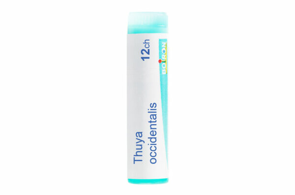 THUYA OCCIDENTALIS - Doses homéopathiques – Image 2