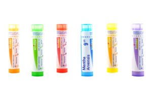 MENTHA ARVENSIS - Granules homéopathiques