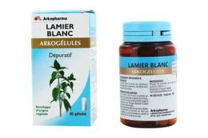 ARKOPHARMA Arkogélules Dépuratif Lamier Blanc 45 gélules