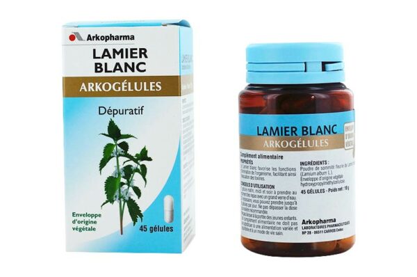 ARKOPHARMA Arkogélules Dépuratif Lamier Blanc 45 gélules