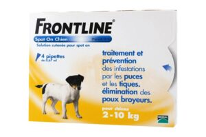 FRONTLINE CHIEN SPOTON 4 pipettes