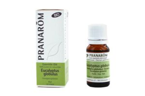 HUILE ESSENTIELLE chémotypées Eucalyptus globuleux BIO- feuille 10 ml