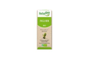 HERBALGEM Figuier Bio 30 ml
