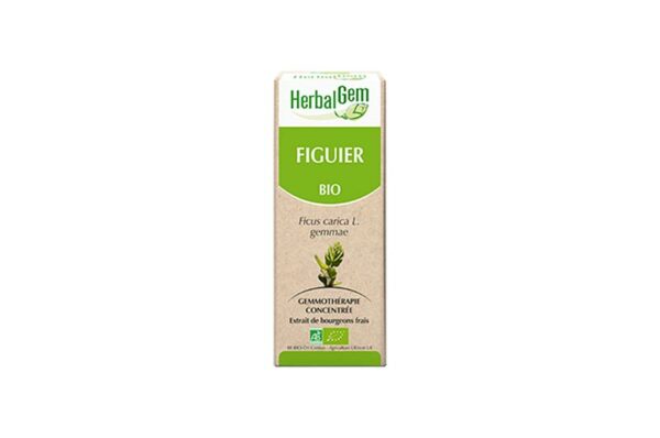 HERBALGEM Figuier Bio 30 ml