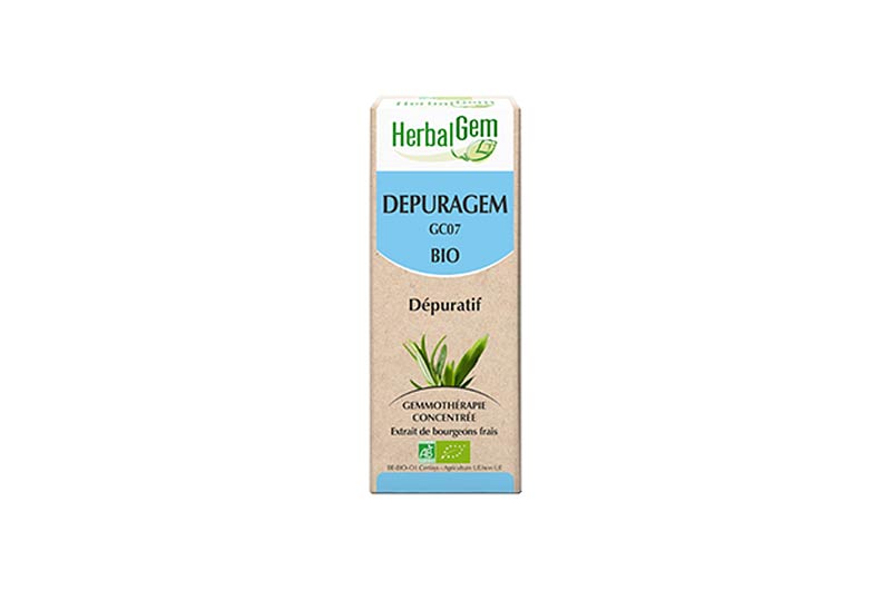 Extrait de bourgeons de romarin bio Herbalgem - Dépuratif - Gemmothérapie