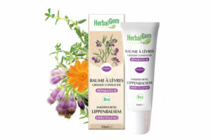 HERBALGEM Baume à Lèvres Grande Consoude Bio 10 ml
