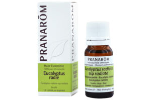 HUILE ESSENTIELLE chémotypées Eucalyptus globuleux- feuille 10 ml