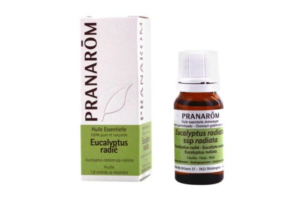 HUILE ESSENTIELLE chémotypées Eucalyptus radié- feuille 10 ml