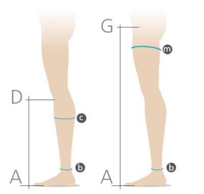 guide des tailles sigvaris 503