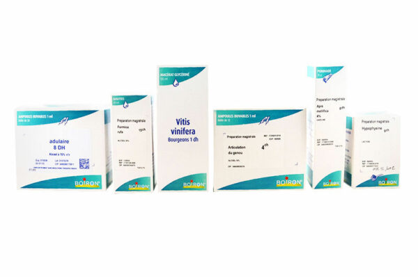ORTHOSIPHON STAMINEUS 8DH Solution buvable 125ml