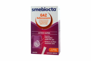 SMEBIOCTA GAZ Ballonnements 12 sticks vanille