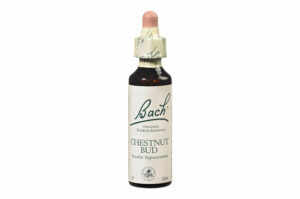 Fleurs de Bach n°7 CHESTNUT BUD Sentiment de manque d’intérêt – Sagesse 20 ml
