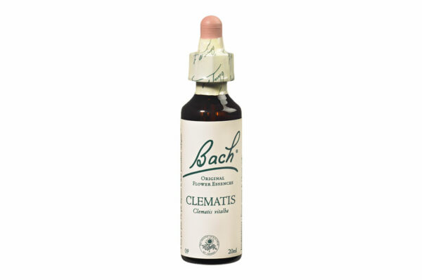 Fleurs de Bach n°9 CLEMATIS Sentiment de manque d’intérêt – Attention 20 ml