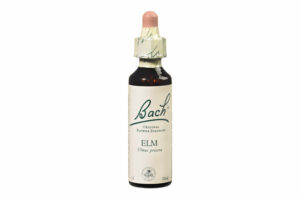 Fleurs de Bach n°11 ELM Sentiment de tristesse – Assurance 20 ml