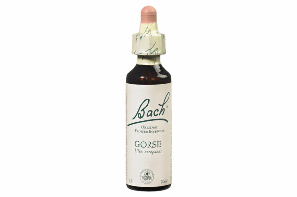 Fleurs de Bach n°13 GORSE Sentiment d’incertitude – Espoir 20 ml