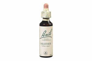 Fleurs de Bach n°14 HEATHER Sentiment de solitude – Altruisme 20 ml