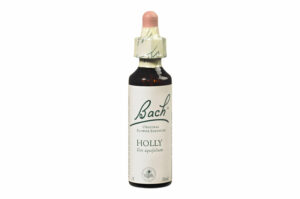 Fleurs de Bach n°15 HOLLY Sentiment de sensibilité – Bienveillance 20 ml