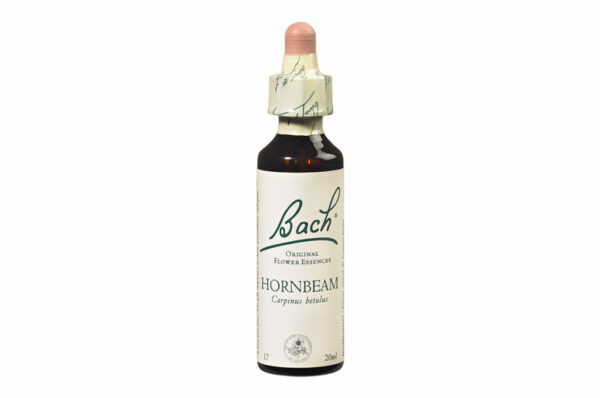 Fleurs de Bach n°17 HORNBEAM  Sentiment d’incertitude – Entrain 20 ml