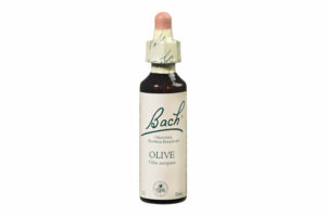 Fleurs de Bach n°23 OLIVE Sentiment de manque d’intérêt – Dynamisme 20 ml