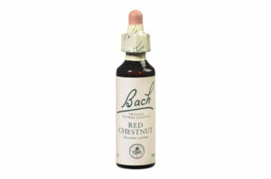 Fleurs de Bach n°25 RED CHESTNUT Sentiment de souci – Optimisme 20 ml
