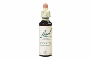 Fleurs de Bach n°26 ROCK ROSE Sentiment de souci – Courage 20 ml