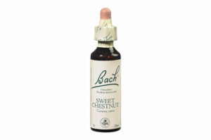 Fleurs de Bach n°30 SWEET CHESTNUT Sentiment de tristesse – Croyance 20 ml