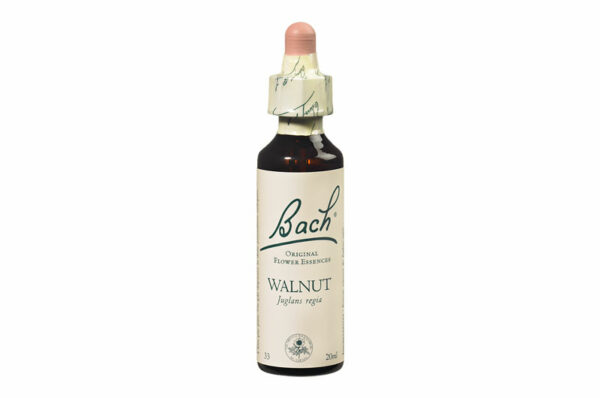 Fleurs de Bach n°33 WALNUT Sentiment de sensibilité – Adaptabilité 20 ml
