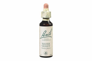 Fleurs de Bach n°34 WATER VIOLET Sentiment de solitude – Sociabilité 20 ml
