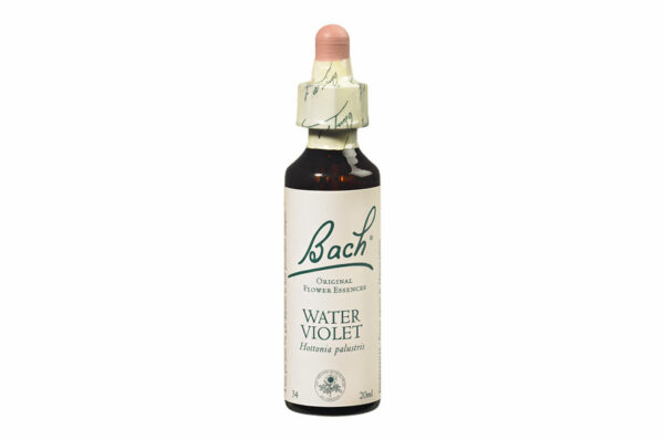 Fleurs de Bach n°34 WATER VIOLET Sentiment de solitude – Sociabilité 20 ml