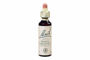 Fleurs de Bach n°35 WHITE CHESTNUT  Sentiment de manque d’intérêt – Sérénité 20 ml