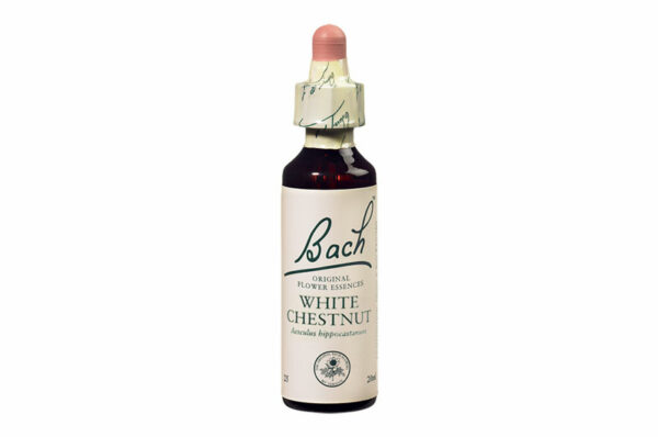 Fleurs de Bach n°35 WHITE CHESTNUT  Sentiment de manque d’intérêt – Sérénité 20 ml