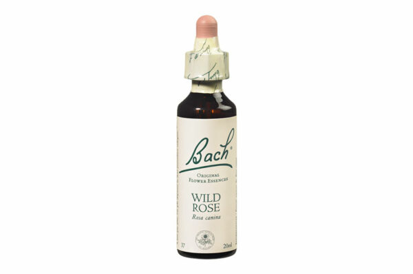 Fleurs de Bach n°37 WILD ROSE Sentiment de manque d’intérêt – Motivation 20 ml
