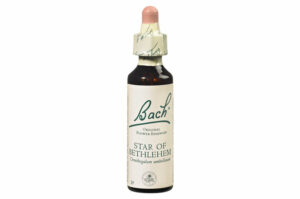 Fleurs de Bach n°29 Original STAR OF BETHLEHM Sentiment de tristesse – Réconfort 10ML