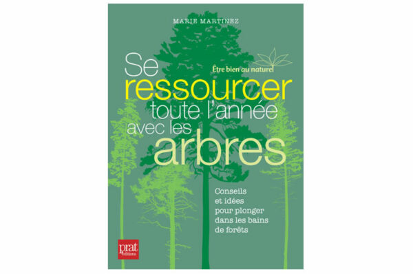 Se ressourcer toute l’année avec les arbres