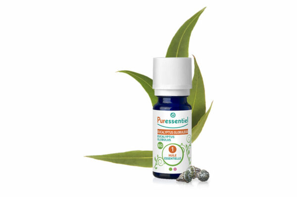 PURESSENTIEL huile essentielle eucalyptus globuleux 10ml bio – Image 2