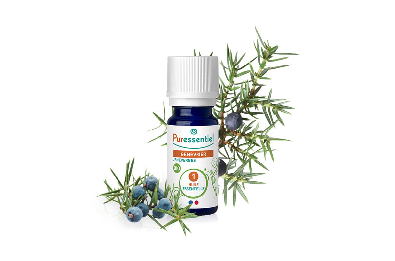 PURESSENTIEL huile essentielle romarin à cinéole 10ml bio -  Pharma-Médicaments.com