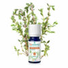 PURESSENTIEL huile essentielle thym à linalol 5ml bio – Image 2