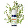 PURESSENTIEL huile essentielle thym à thymol 5ml bio – Image 2